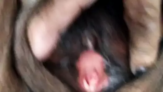 olgun Latin kadın tüylü amcık ile oynuyor