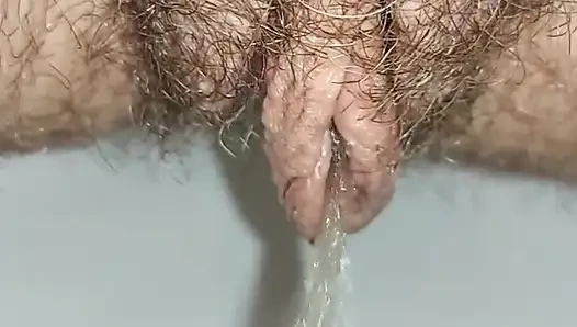 İşeyen Ev Hanımı