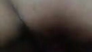 Türk çift denizmelek 9