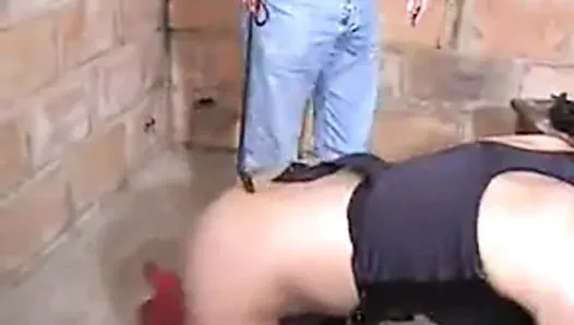 fransız siyahı(geny)2