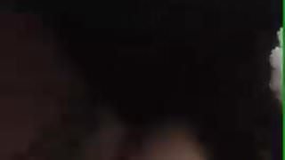 elvis